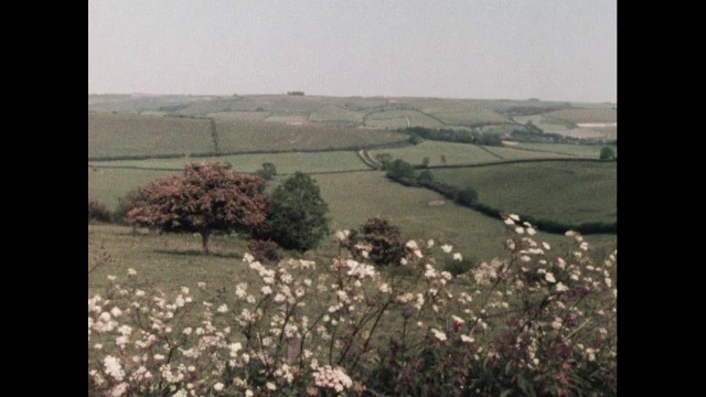 DORSET — Chalk and Cheese
